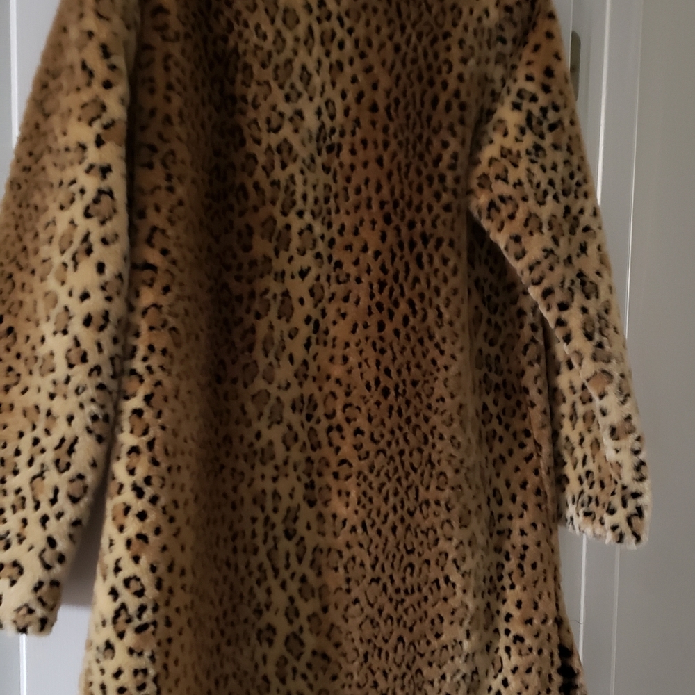 Coat - Picture 3 of 7